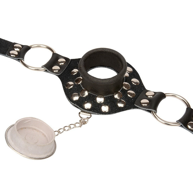 Stainless Steel Gag with Leather