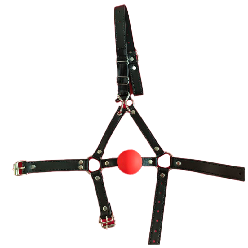 Ball Gag Harness