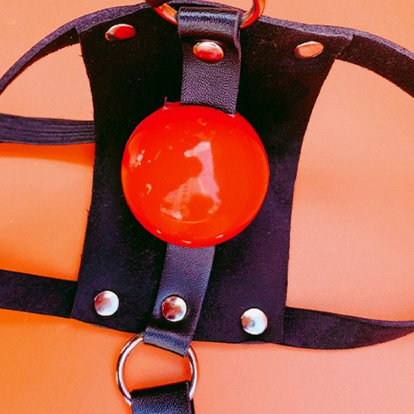 Leather Bondage Gag with Nipple Clamps