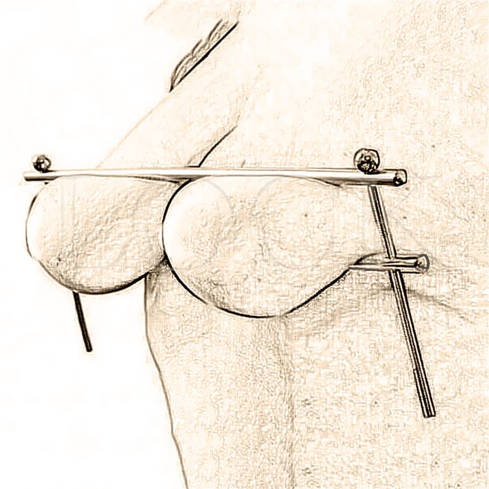 Stainless Bondage Clamp – Intense BDSM Breast Play Tool