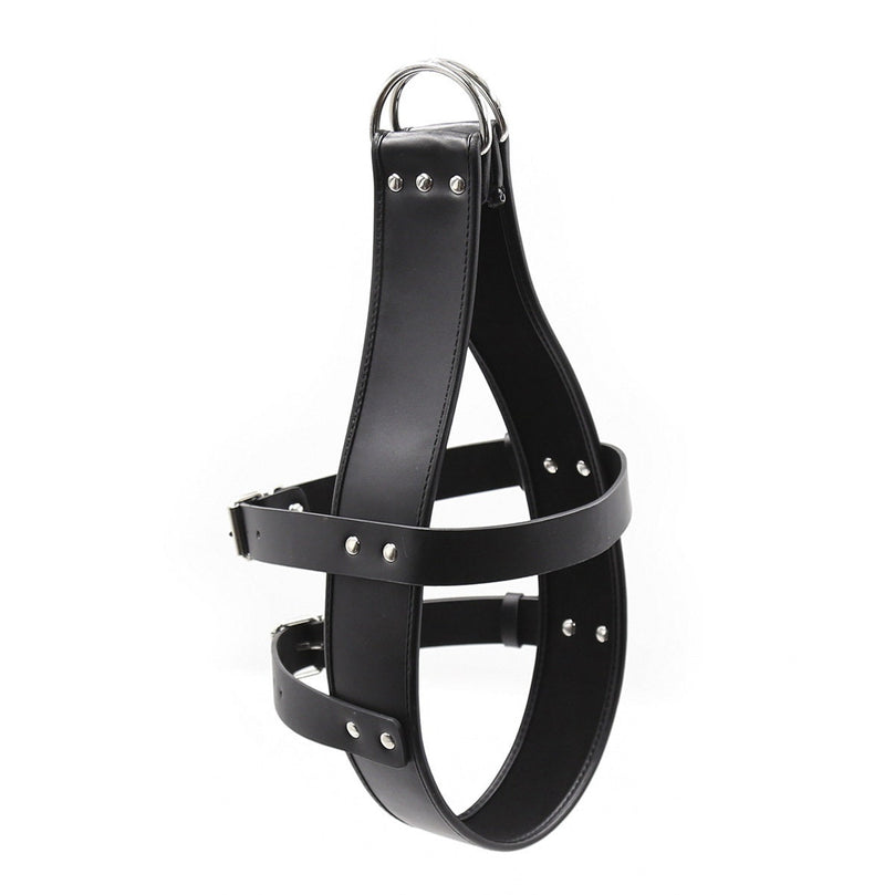 Head Harness Suspension