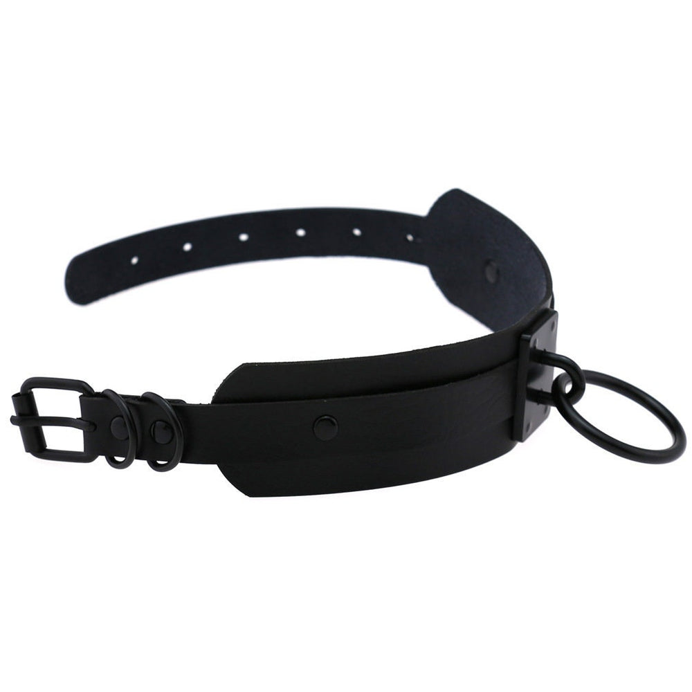 Leather Ring Collar