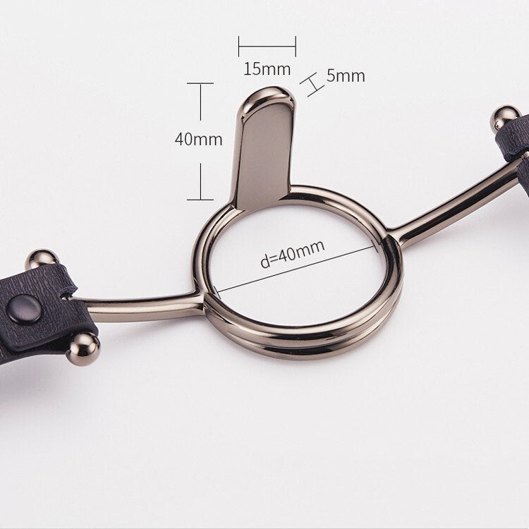 Metal Bondage Gag
