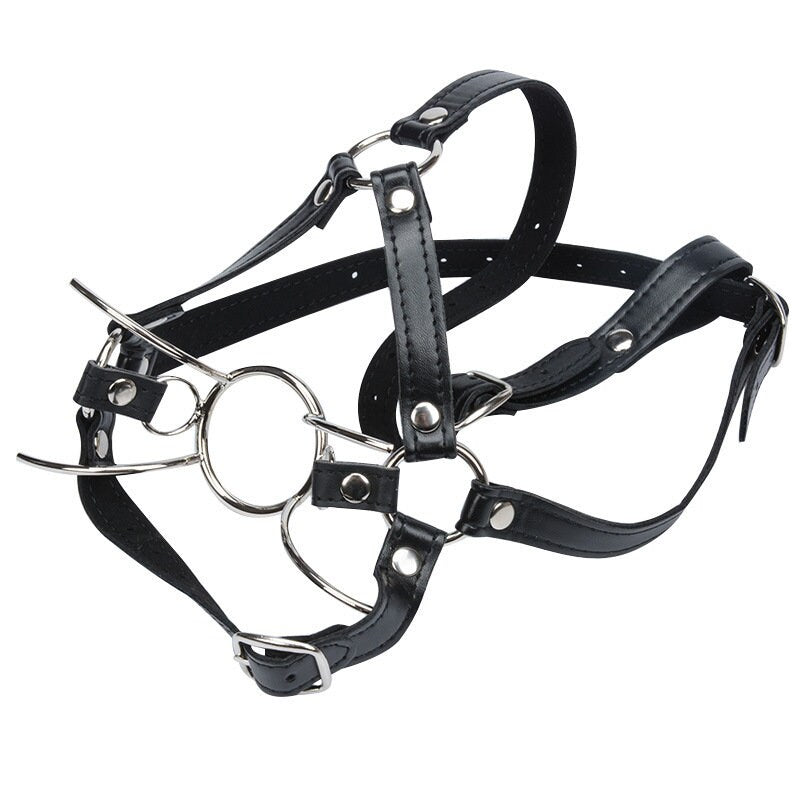Ring Gag Harness
