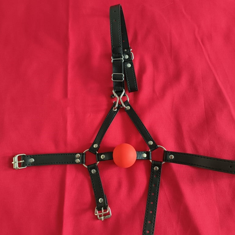 Ball Gag Harness