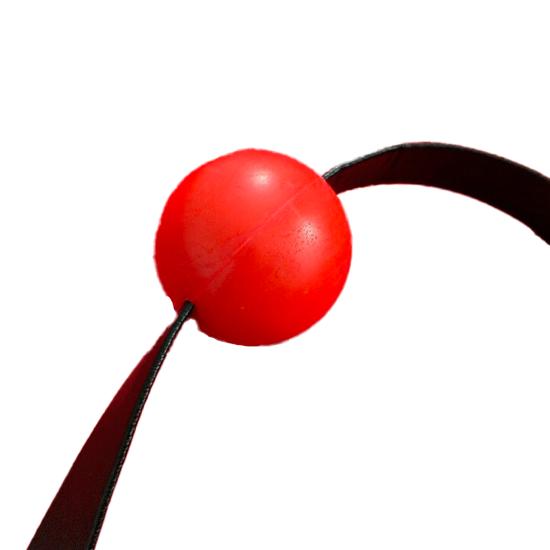 Silicone Ball Gag