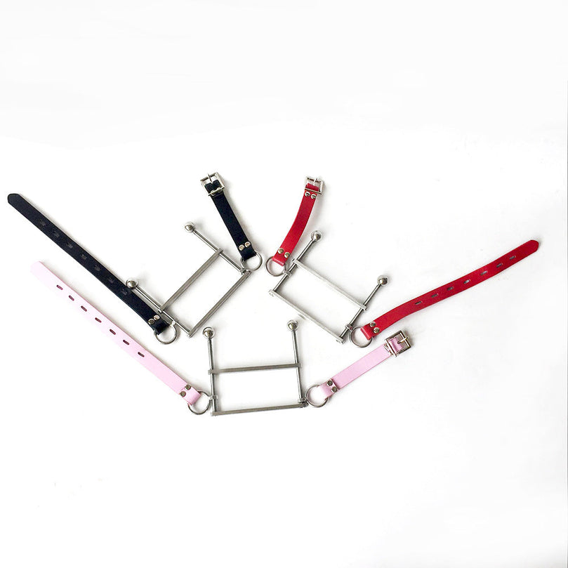 Stainless Steel Mouth Gag ® Leather