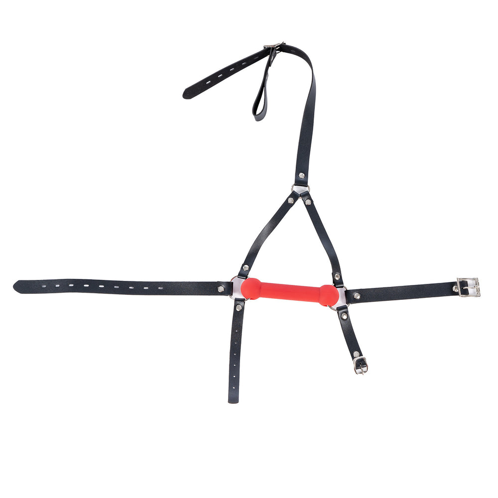 Silicone Dog Bone Gag | BDSM Bondage Mouth Flail USA