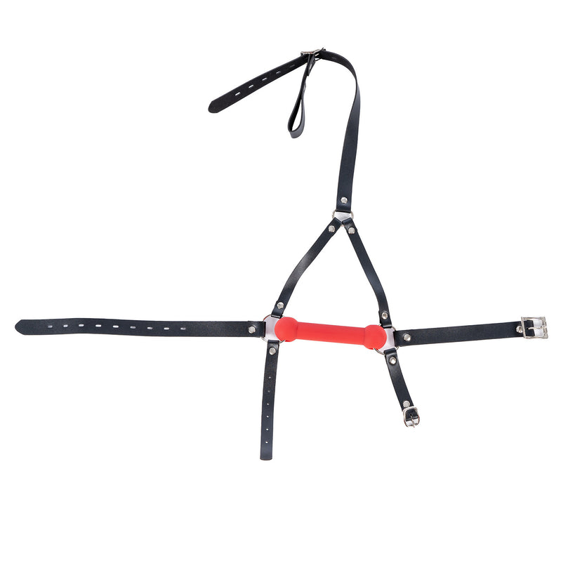 Silicone Dog Bone Gag | BDSM Bondage Mouth Flail USA
