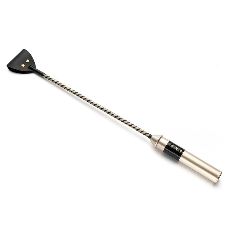 Room Electric® BDSM Shock Whip