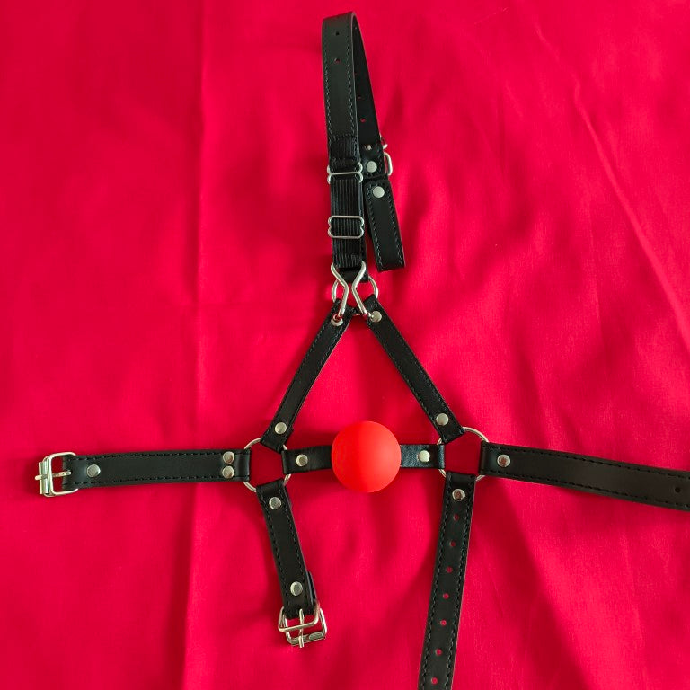 Ball Gag Harness
