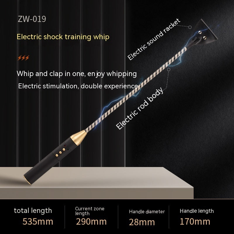 Electric BDSM Tools for Precision Bondage & Impact Play