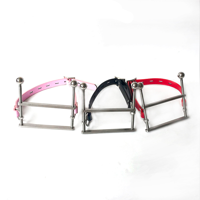 Stainless Steel Mouth Gag ® Leather