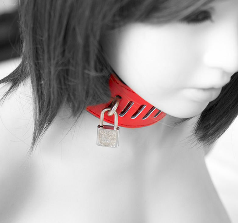 Stainless Steel Restraint 