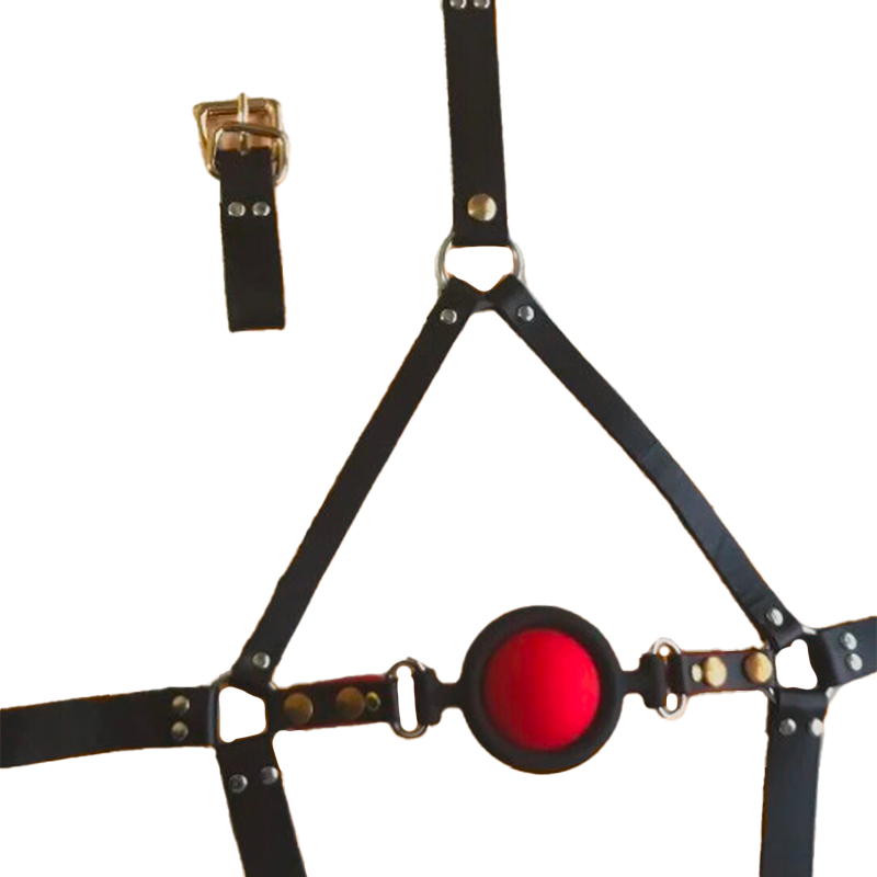 Premium Bondage Ball Gag Harness 
