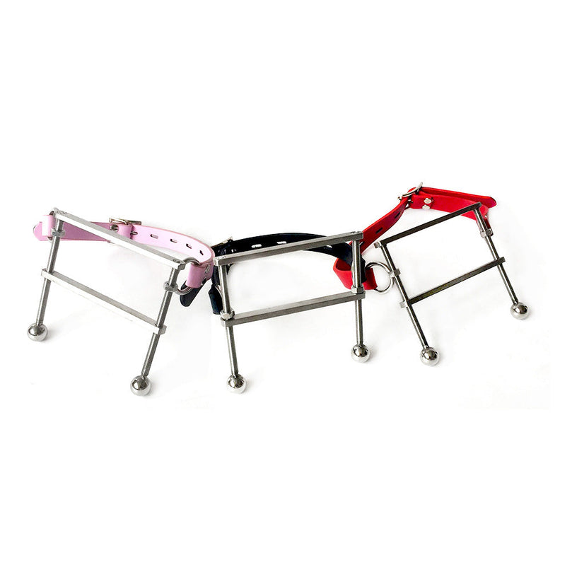 Stainless Steel Mouth Gag ® Leather