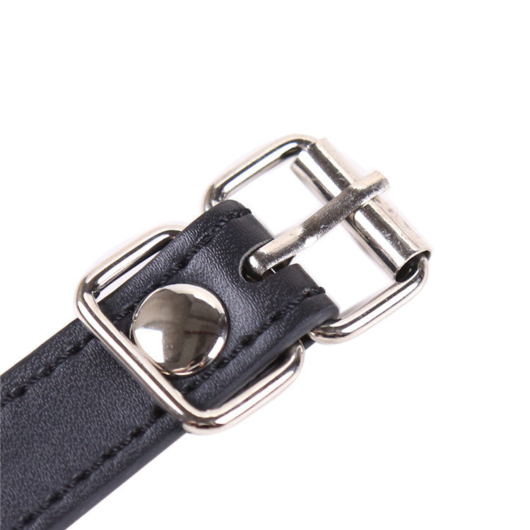 Silicone Mouth Ball ® with Nipple Clamp