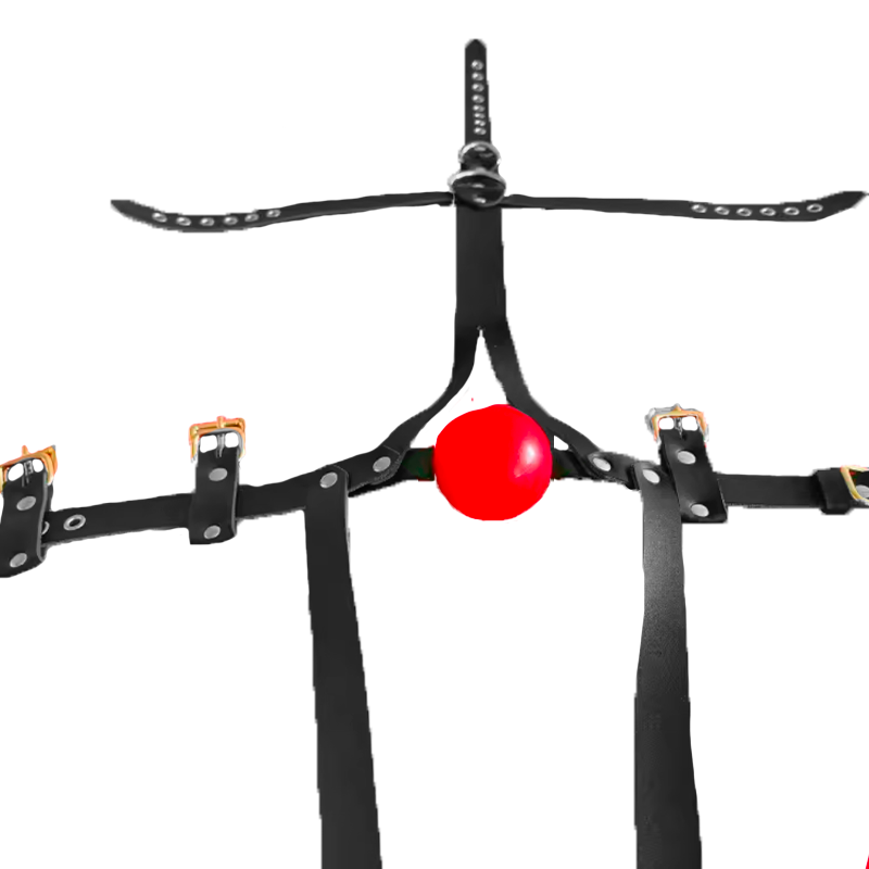Buy Anti‑Spit Mundknebel Harness