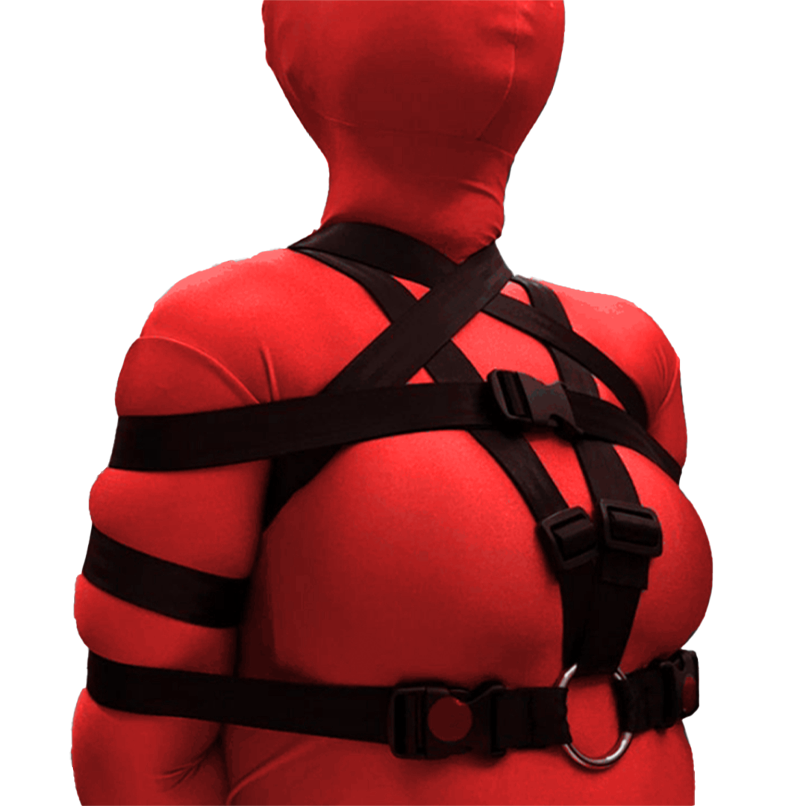 Bondage Restraint System 