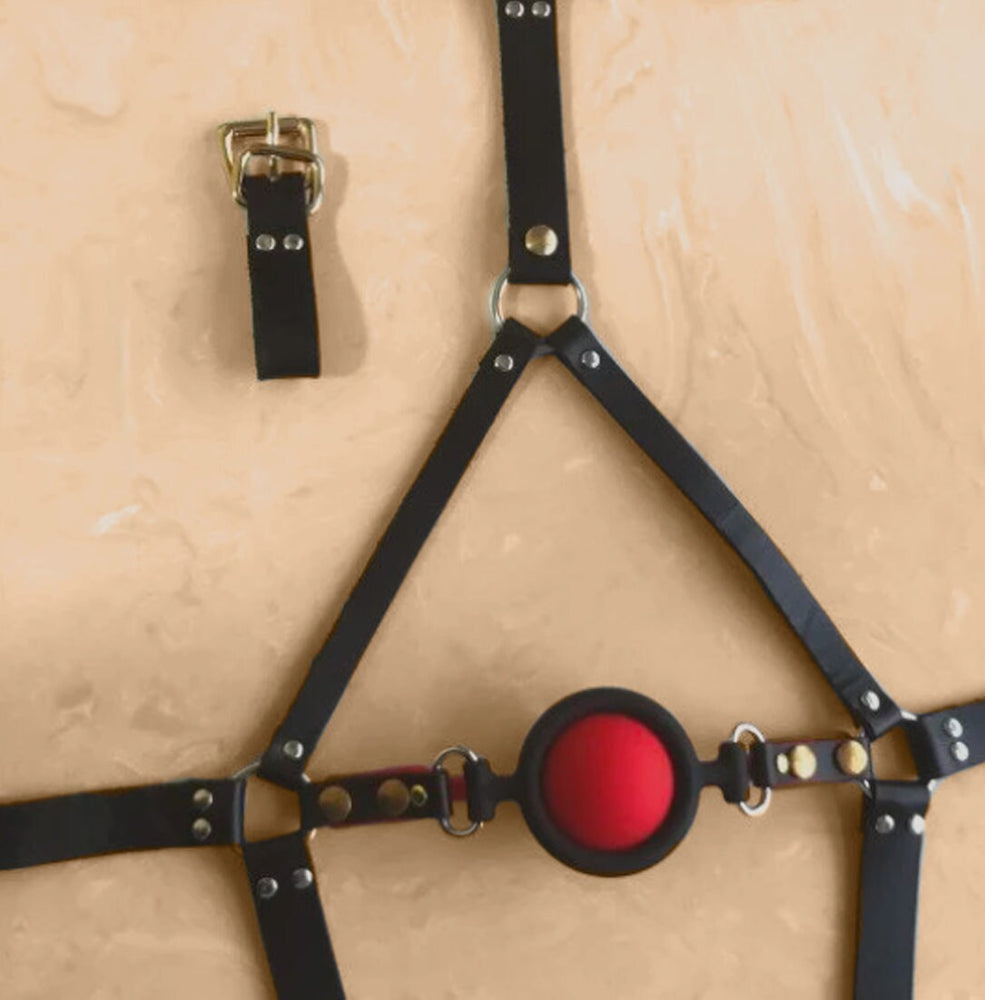 Premium Bondage Ball Gag Harness 