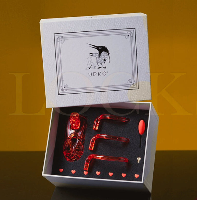 Chastity Bondage Lock – BDSM Slave Device