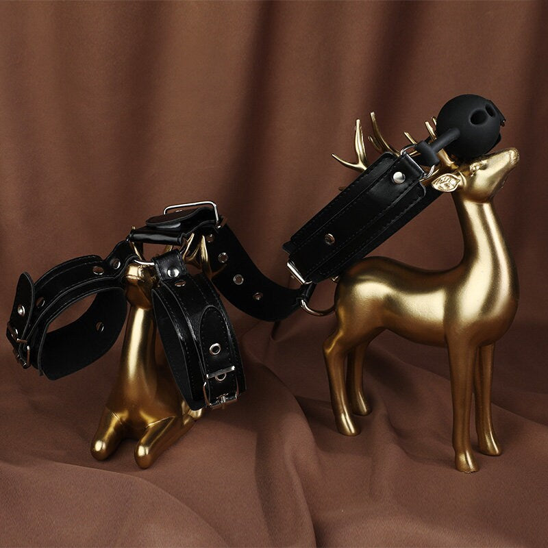 Leather BDSM Collar & Restraint – Le Château Official