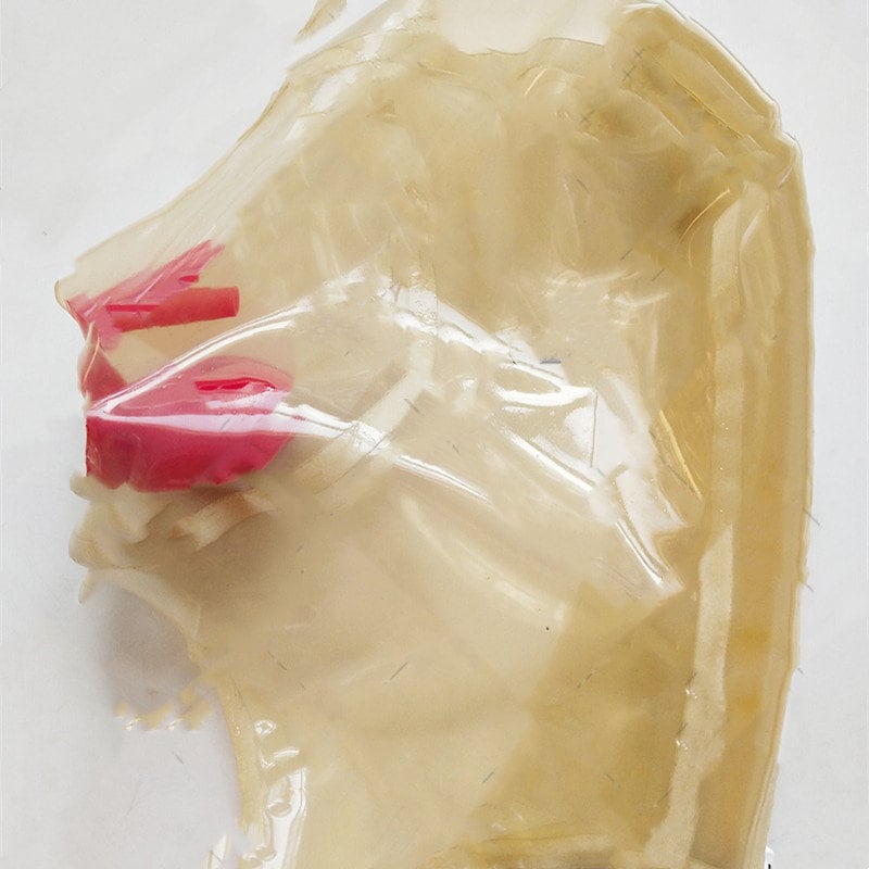 Latex Silicon Slave Gag – Discreet BDSM Bondage Gear