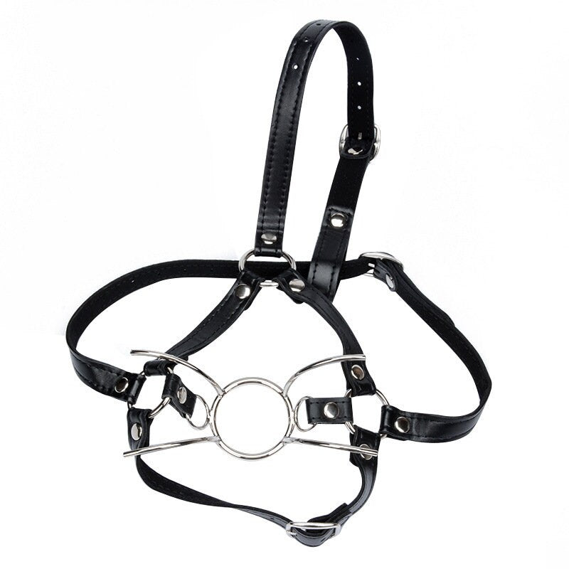 Ring Gag Harness